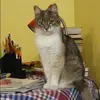 Отзыв от Инна Козловская